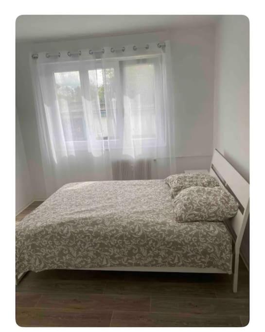 Chaleureux Et Spacieux Apartment Cernay (Haut-Rhin)